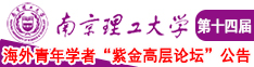 不要嗯啊av叫南京理工大学第十四届海外青年学者紫金论坛诚邀海内外英才！